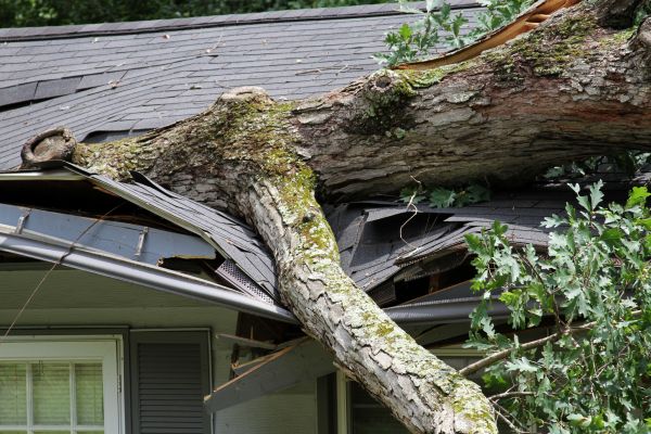 Cost of Storm Remediation in Sebastian