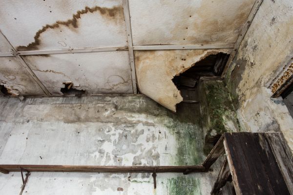 Water Damage Service in Sebastian