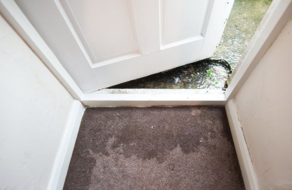 Wet Carpet Restoration in Sebastian