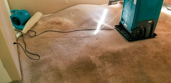 Flood Damage Cleanup in Sebastian