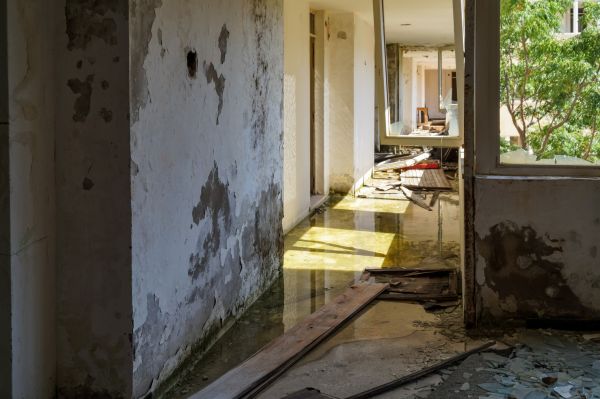 Water Removal Service in Sebastian