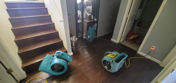 Water Damage Remediation in Sebastian