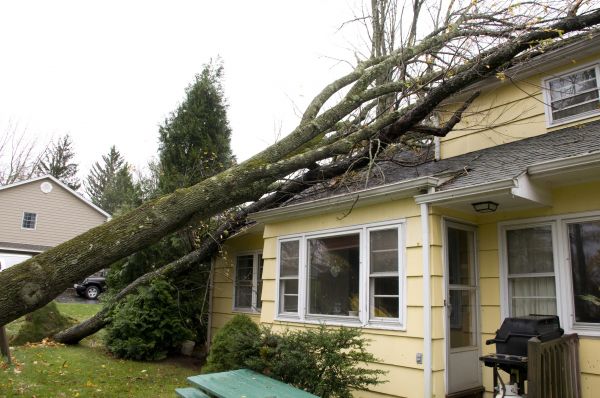 Hurricane Damage Repair in Sebastian