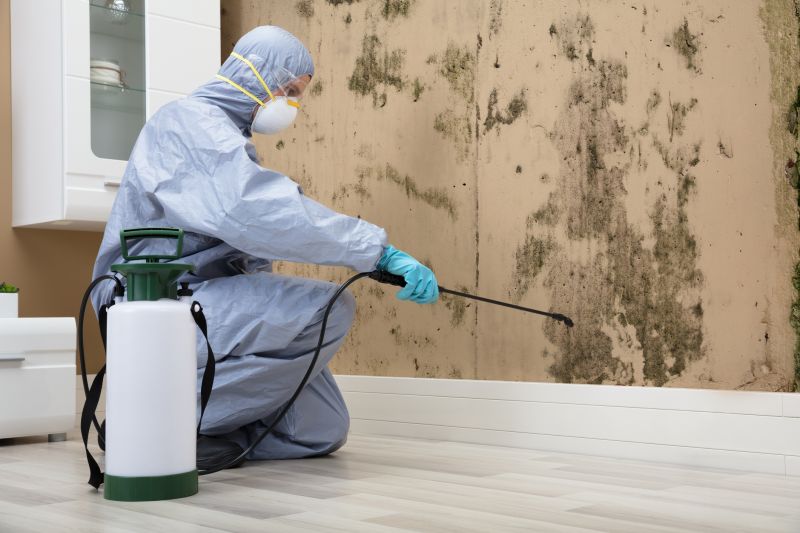 Mold Prevention Measures